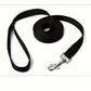 Longe Plate Multicolore – 5M et 10M pour Chien