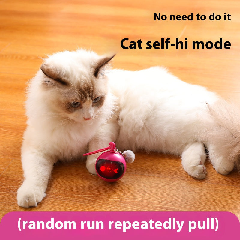 Jouet interactif pour chat avec sons d’oiseaux et LED