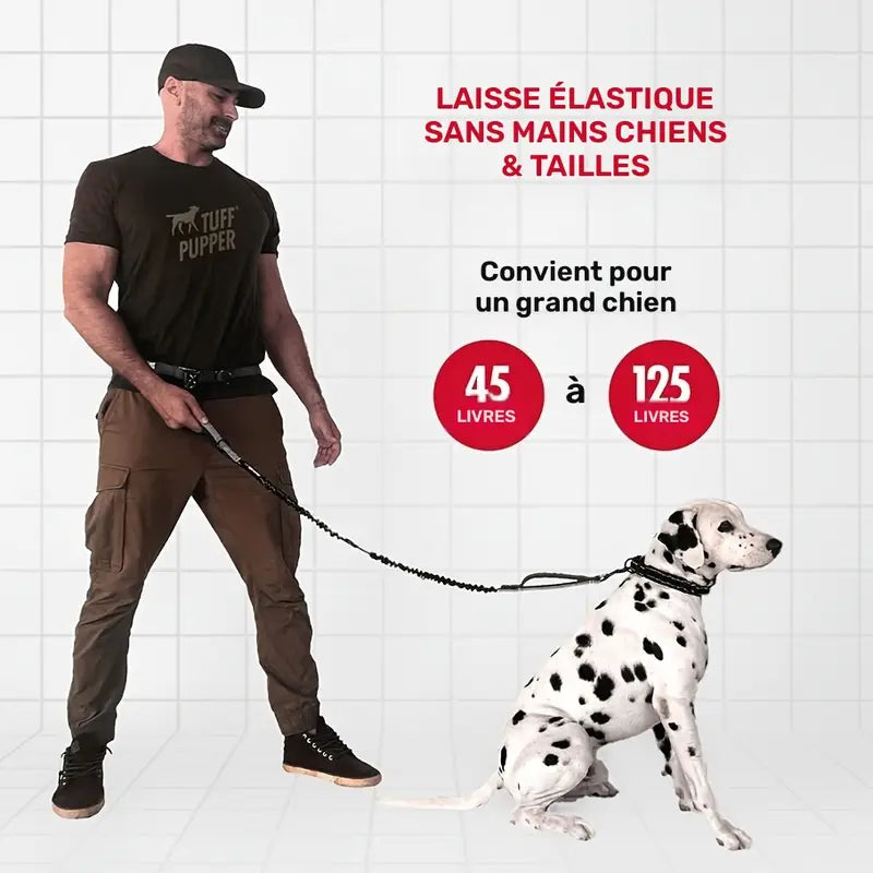 Laisse Ceinture Mains Libres pour Chien