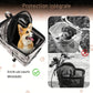 Panier arrière vélo multifonction pour chien et chat