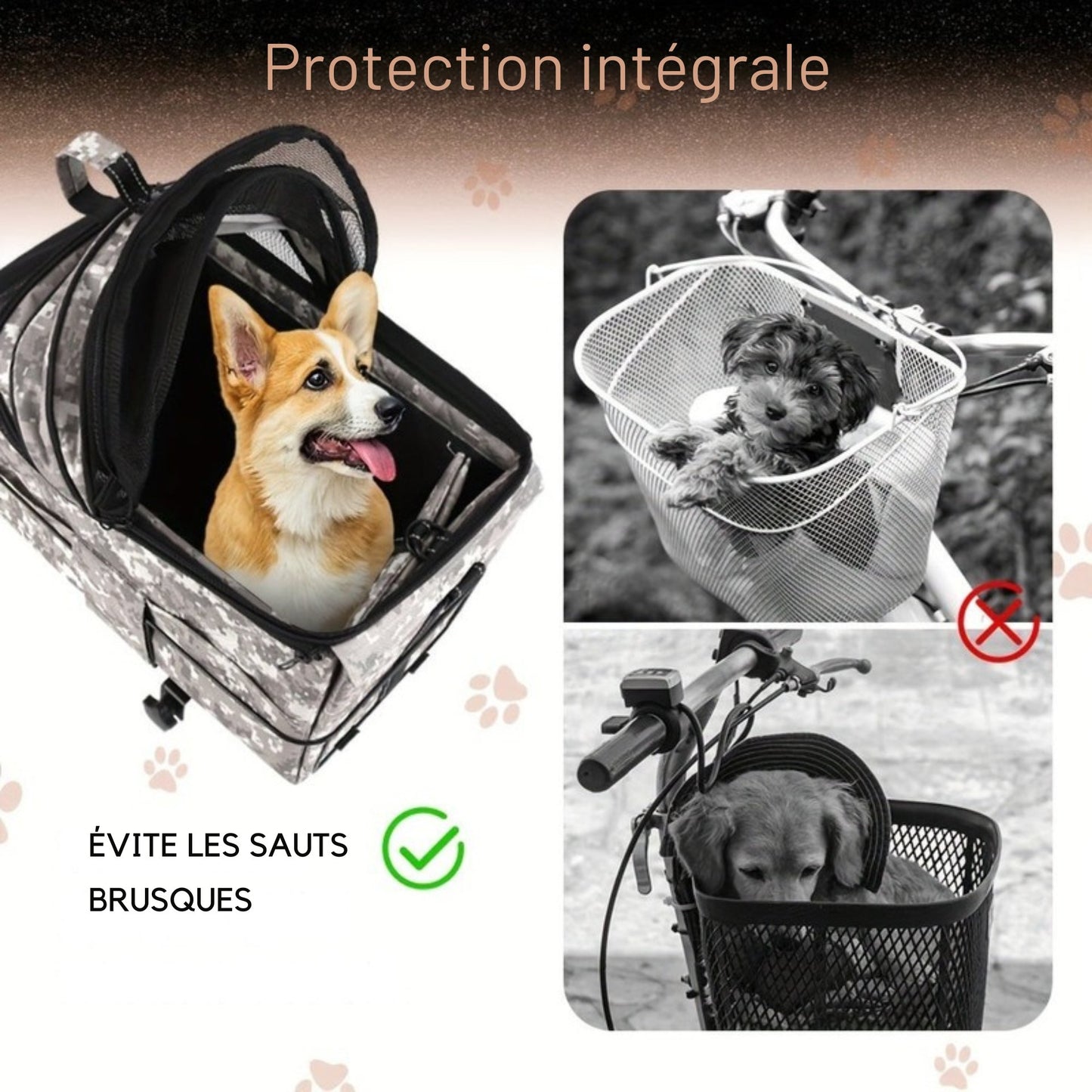 Panier arrière vélo multifonction pour chien et chat
