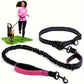 Laisse Elastique Mains Libres pour Chien