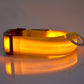 Collier lumineux ajustable pour Chien - sécurité de nuit