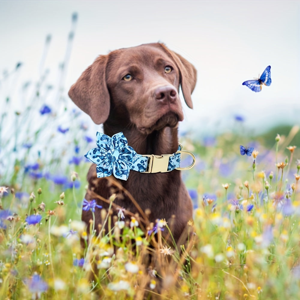 Collier Fleuri (fleur amovible) pour Chien