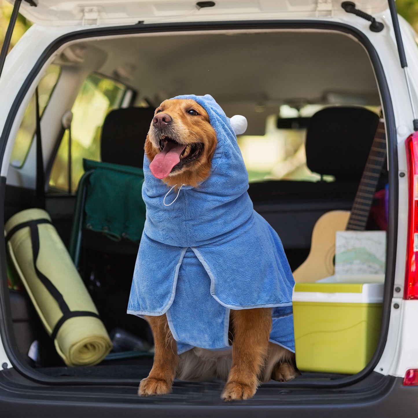 Peignoir de Bain Ultra-Absorbant à Capuche pour Grand Chien