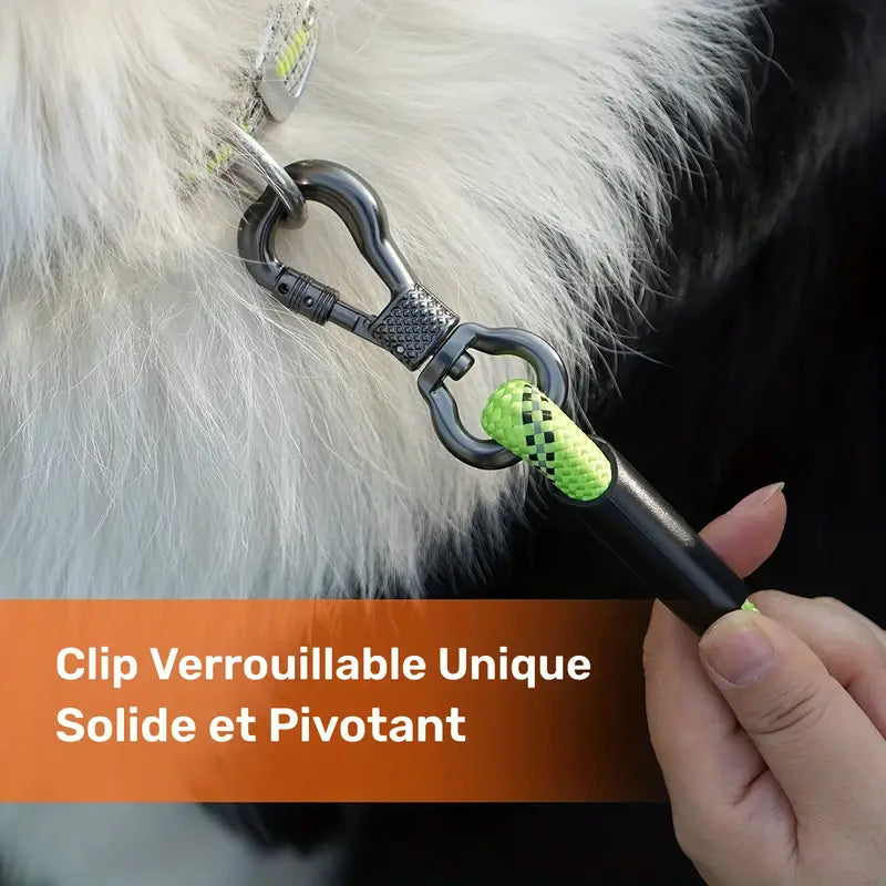 Laisse Corde avec Poignée Confort pour Chien