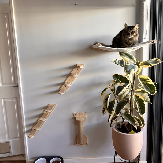 Ensemble Mural pour Chat avec Hamac Double, Pont et Plateformes d’Escalade