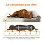 Canapé Orthopédique Gris à Mousse avec Rebord pour Chien