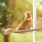 Hamac de Fenêtre Confortable pour Chat en PVC