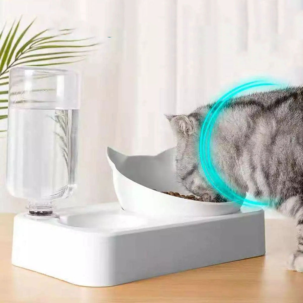 Gamelle ergonomique 2-en-1 pour chat – Inclinaison 15°
