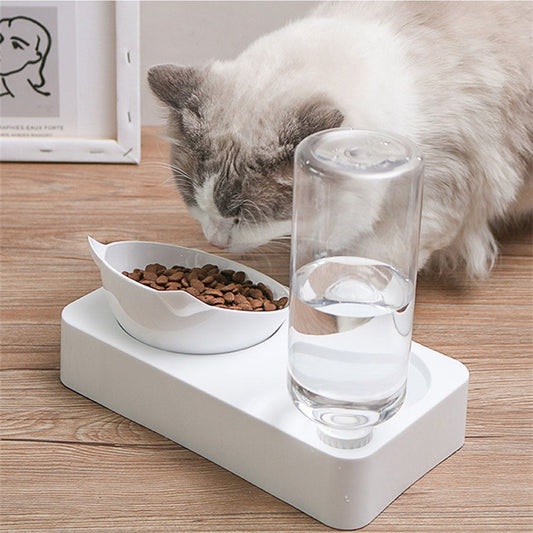 Gamelle ergonomique 2-en-1 pour chat – Inclinaison 15°