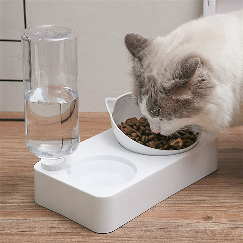 Gamelle ergonomique 2-en-1 pour chat – Inclinaison 15°