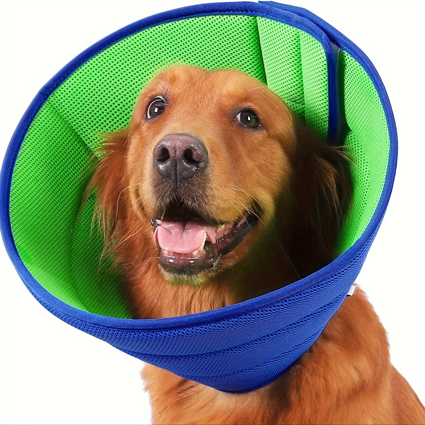 Collerette de Protection Ajustable pour Chien