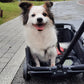Chariot Pliable Rose pour Animaux – Version Compacte