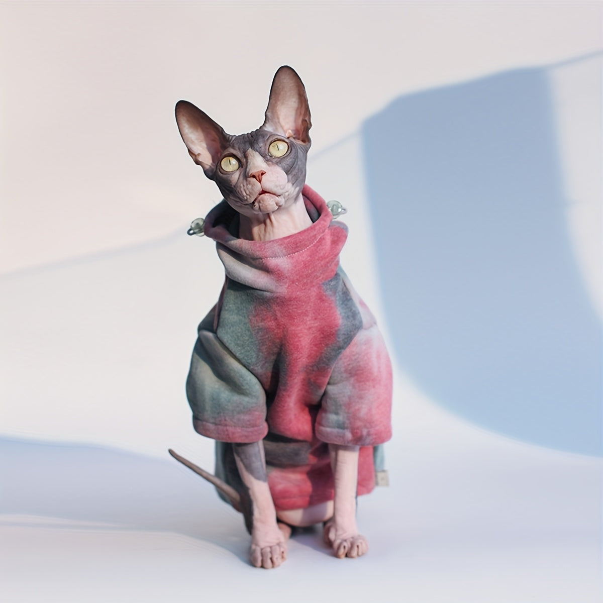 Sweat à Capuche Multicolore pour Chats – Pull Coton Doux