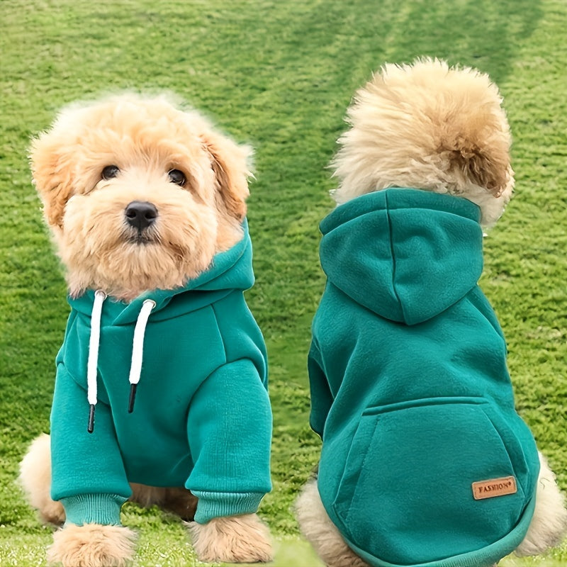 Sweat à Capuche Vert pour Petit Chien