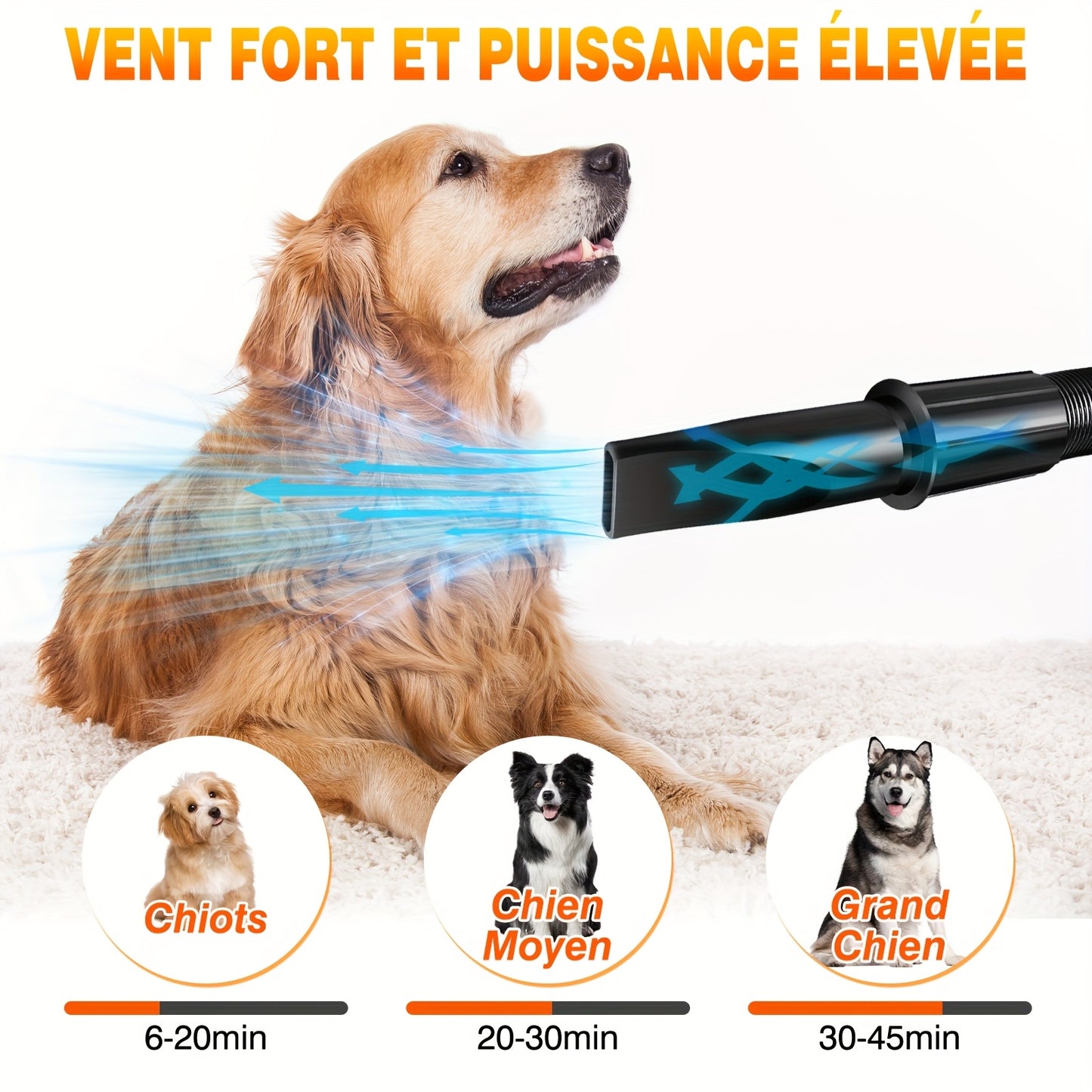 Pulseur Professionnel Silencieux – 3500W avec 4 Buses
