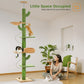 Arbre à Chat Cactus Ajustable PAWZ Road