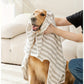 Peignoir de Bain Ultra-Absorbant pour Chiens