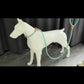 Laisse Lasso 1,5M/1,8M pour Chien