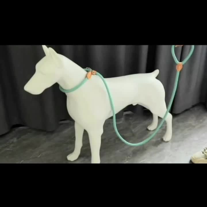 Laisse Lasso 1,5M/1,8M pour Chien