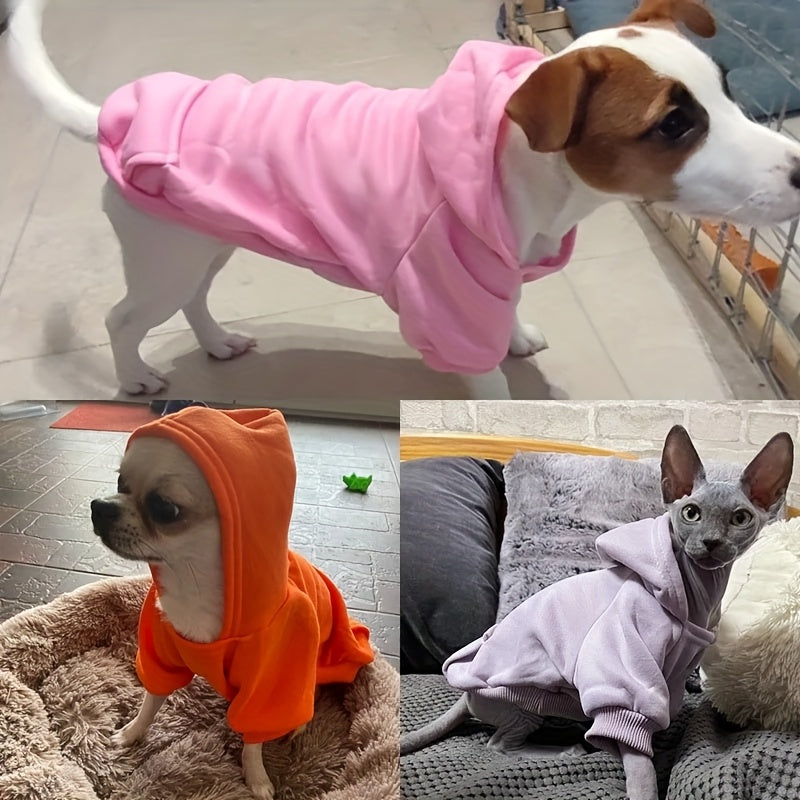 Sweat à Capuche Uni pour Chiens et Chats – Pull Hiver Doublé Polaire