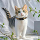 Collier GPS pour chat sans abonnement – Zéro frais mensuels