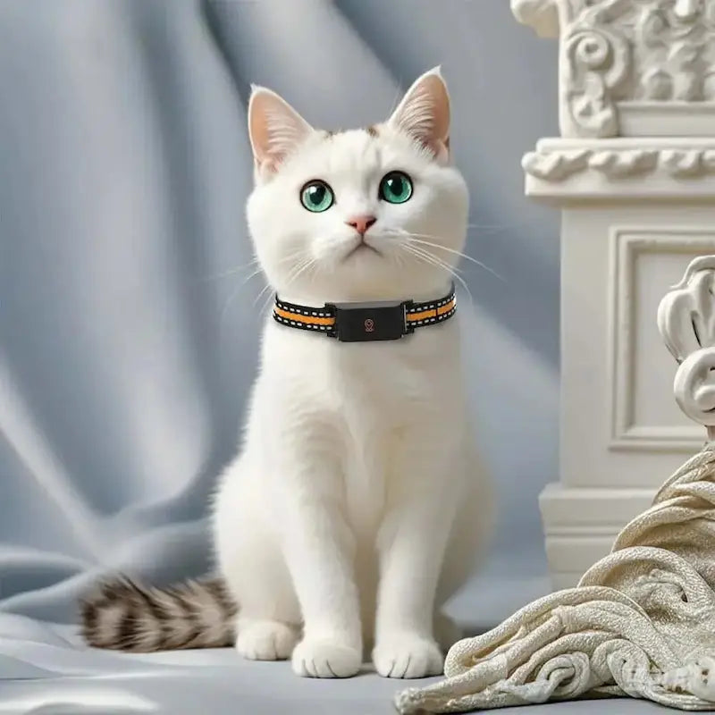 Collier GPS pour chat sans abonnement – Zéro frais mensuels