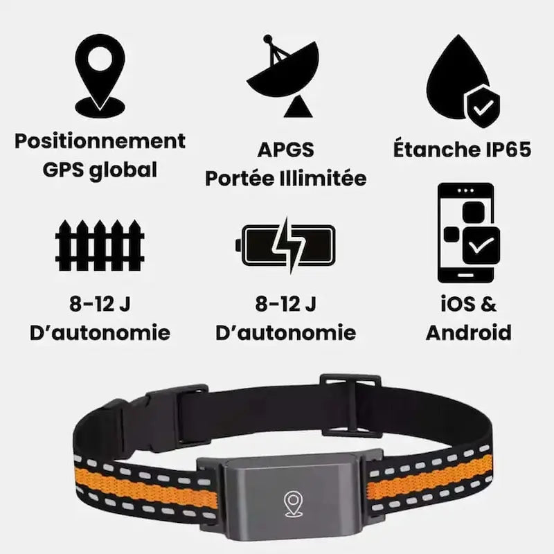 Collier GPS pour chat sans abonnement – Zéro frais mensuels