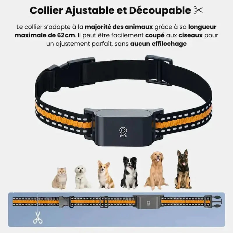 Collier GPS pour chat sans abonnement – Zéro frais mensuels