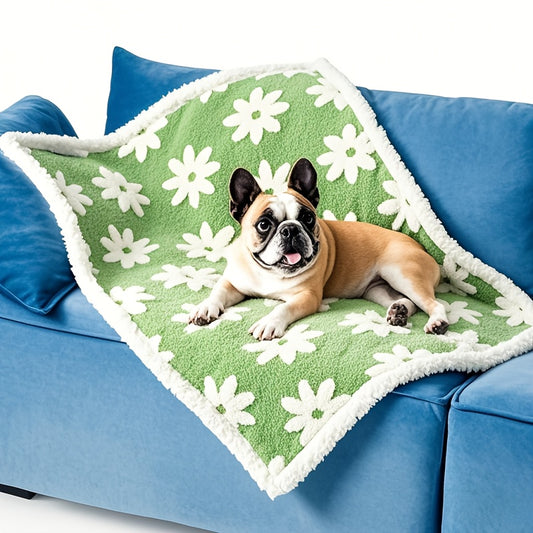 Couverture Moelleuse à Motif pour Chiens