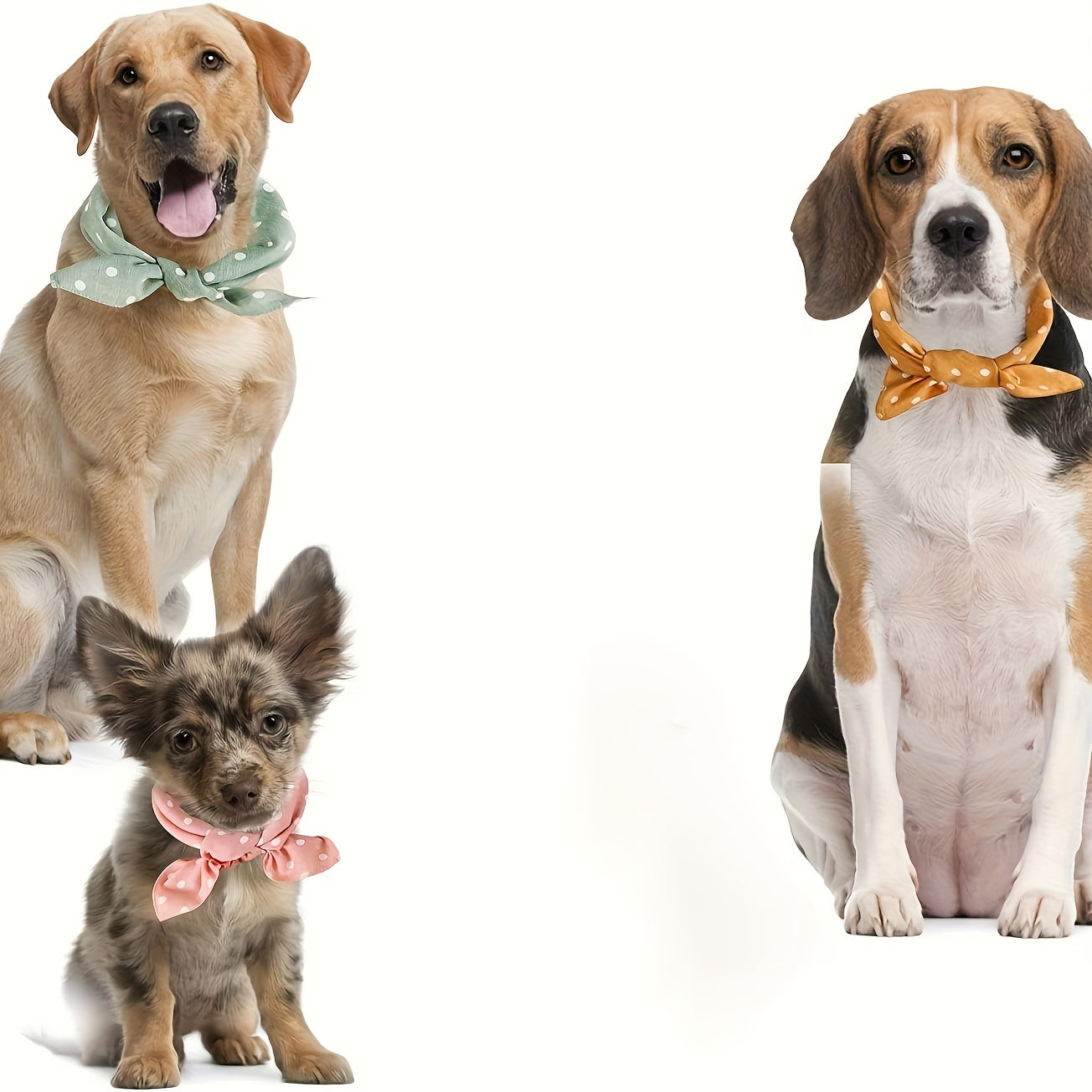 Foulard à Pois en Coton pour Chiens et Chats à Nouer