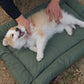 Coussin Extérieur Pliable pour Chien – Antidérapant et Lavable