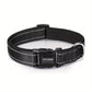 Collier Réfléchissant pour Chien – réglable et résistant