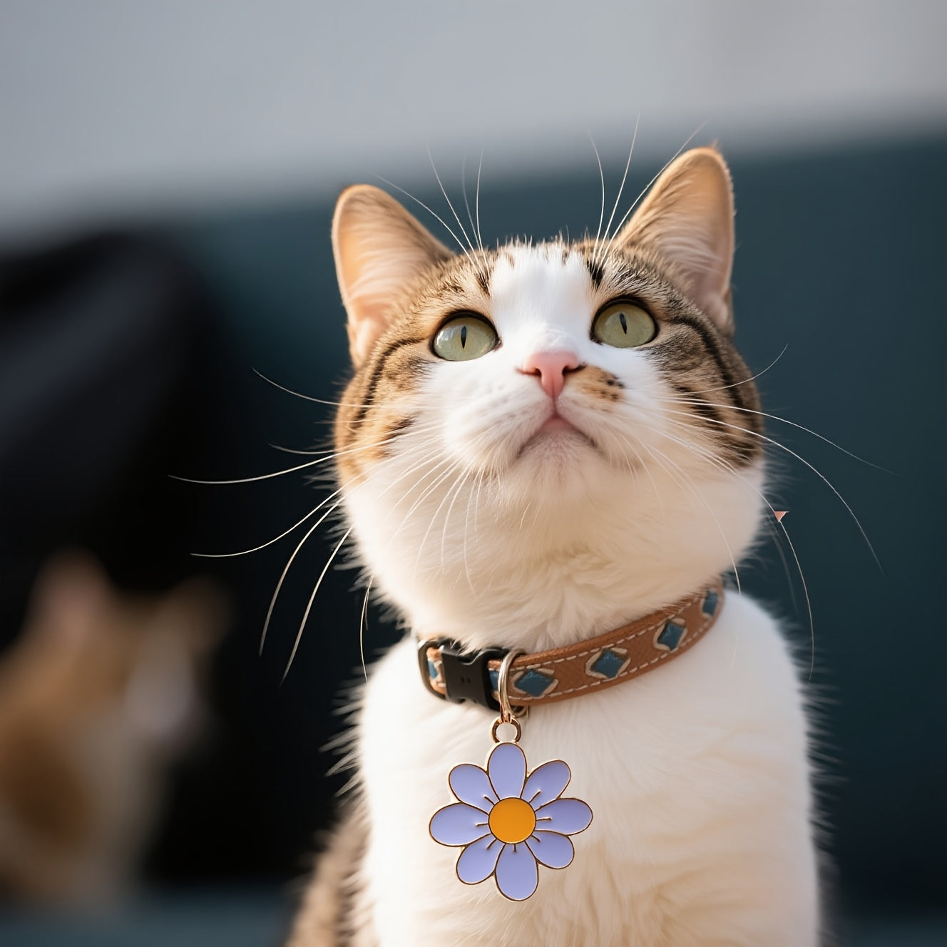 Médaillon Marguerite décoratif pour collier de Chien ou Chat