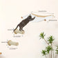 Ensemble Mural pour Chat avec Hamac Double, Pont et Plateformes d’Escalade