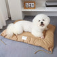 Coussin Confort pour Chat et Petit Chien