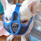 Muselière Ajustable en Maille Respirante pour Bouledogue