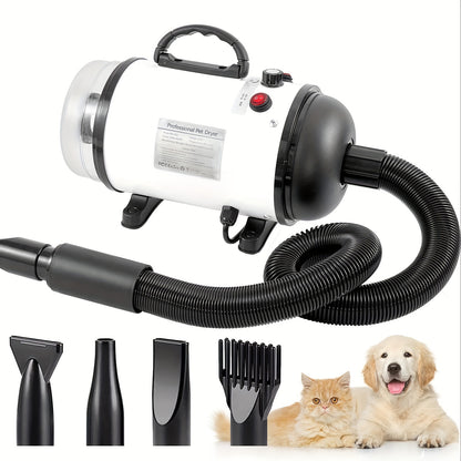 Pulseur Professionnel Silencieux – 4 Embouts & Tuyau 2,5 m