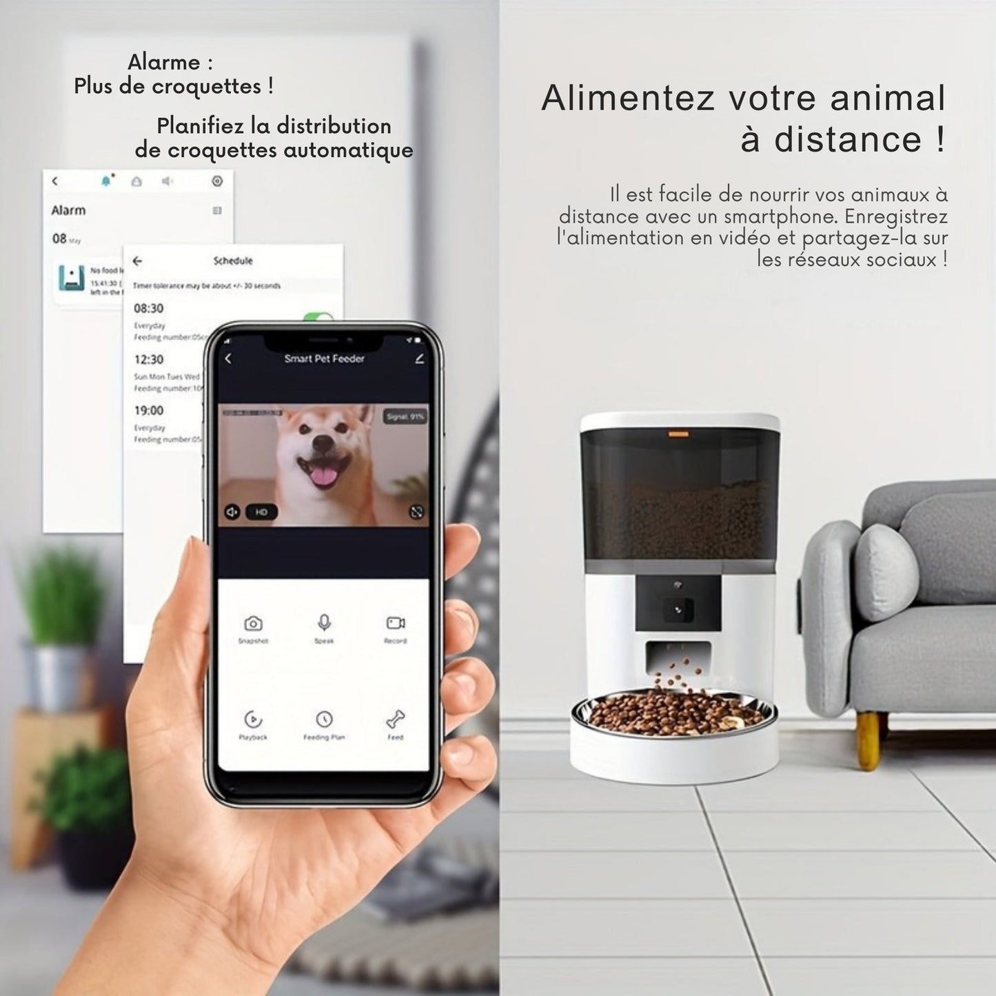 Distributeur connecté avec Caméra pour Chien et Chat (4L)