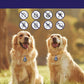 Médaillon Répulsif Ultrason Rechargeable pour Collier Chien