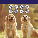 Médaillon Répulsif Ultrason Rechargeable pour Collier Chien