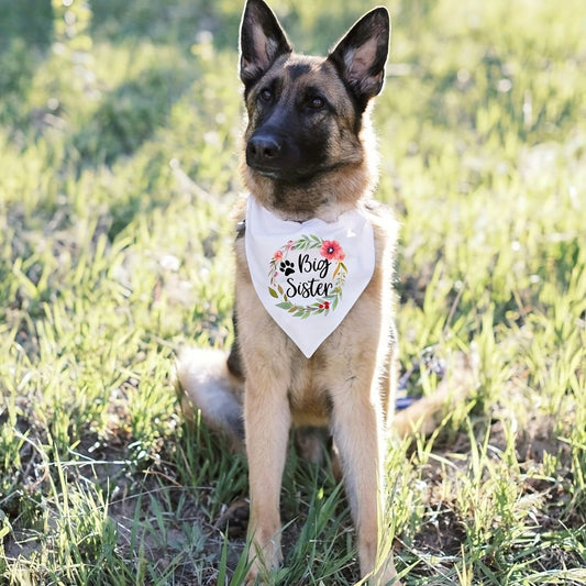 Bandana “Big Brother / Big Sister” pour Chiens