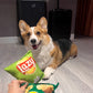 Peluche Chips pour Chiens – Jouet Sonore Sans Piles