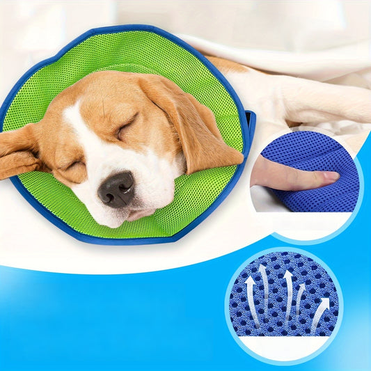 Collerette de Protection Ajustable pour Chien
