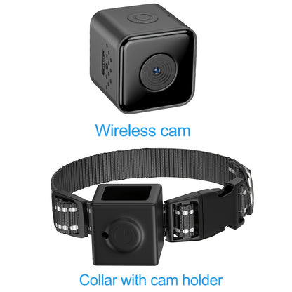 Collier Caméra 1080P pour Chats et Petits Chiens