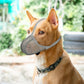 Muselière pour Chien en Maille Respirable