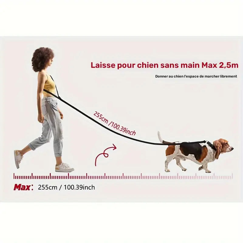 Laisse Mains Libres avec Boucle pour Voiture pour Chien