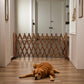 Barrière Extensible en Bois Naturel pour Chiens – Plusieurs Tailles