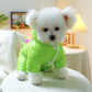 Manteau Dinosaure Fluorescent pour Chiens et Chats – Look Hiver Original
